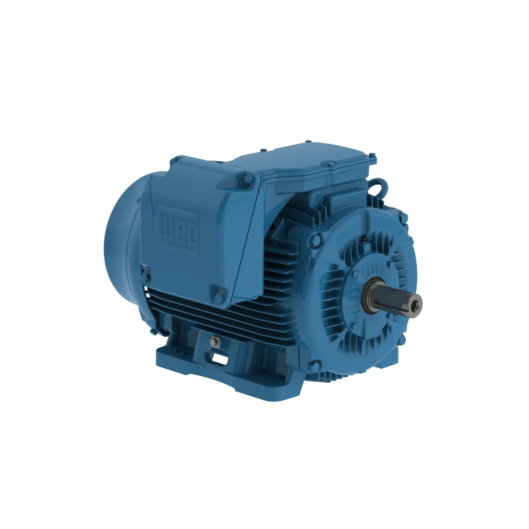 Motor Brasileño de Alta Eficiencia IE2 Marca Weg