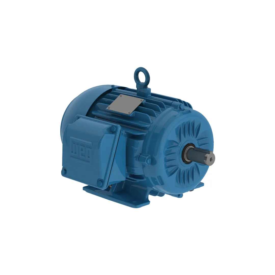 Motor Dahlander 4/2 Polos Y 8/4 Polos Marca Weg (Doble velocidad)
