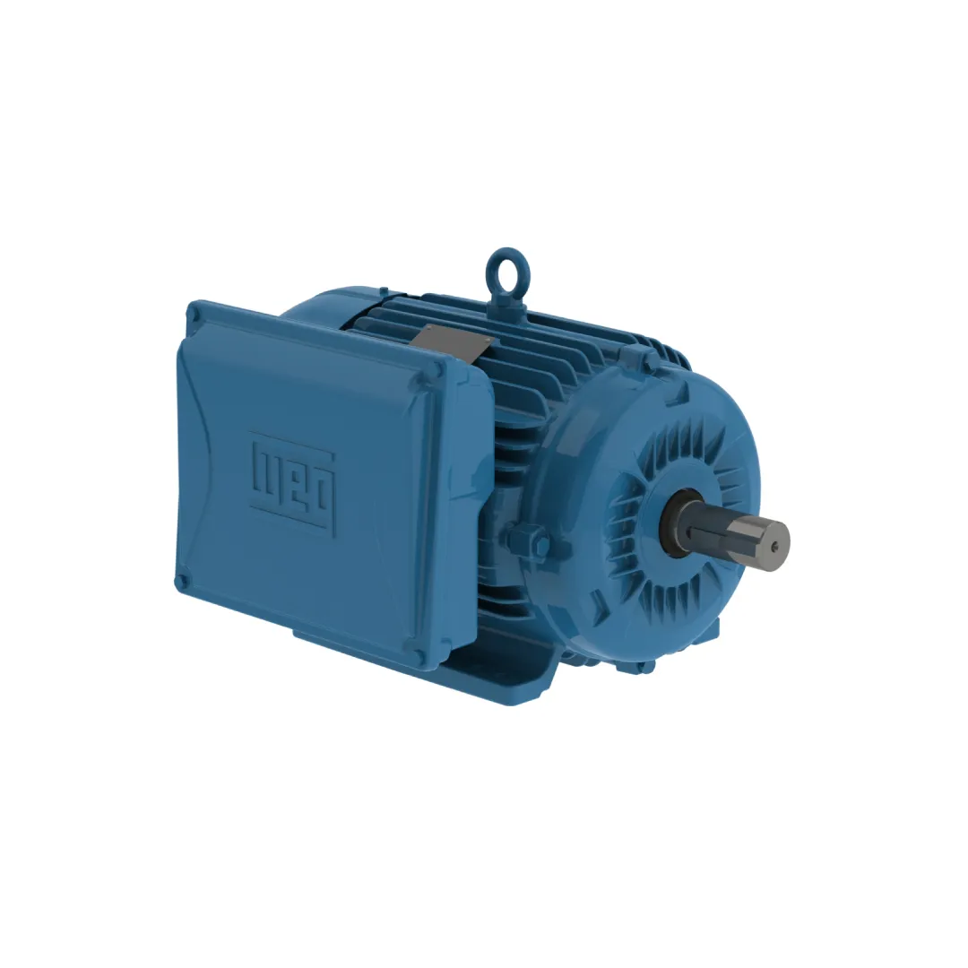 Motor Eléctrico Monofásico Marca Weg