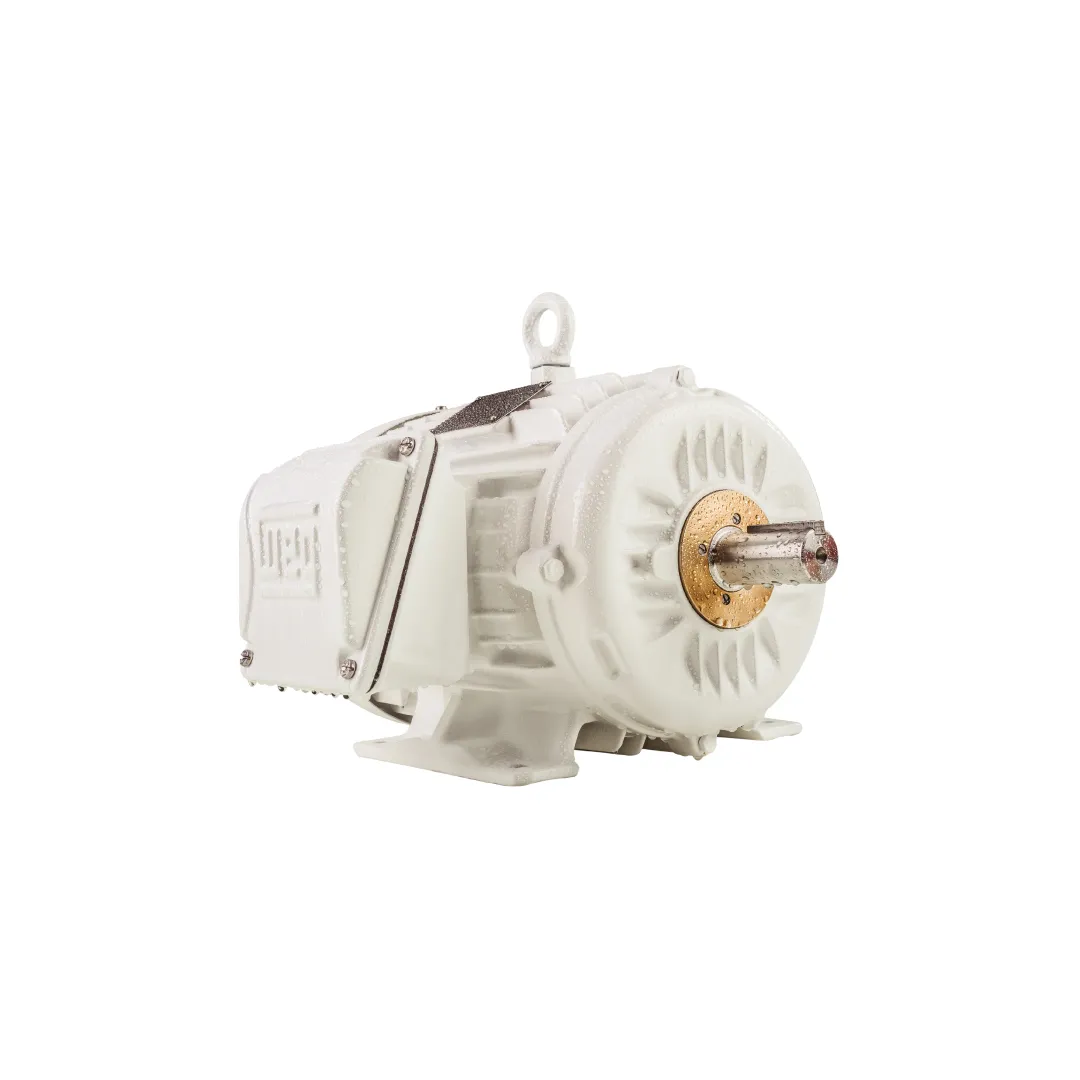 Motor Resistente al Agua W22 Wash Marca Weg