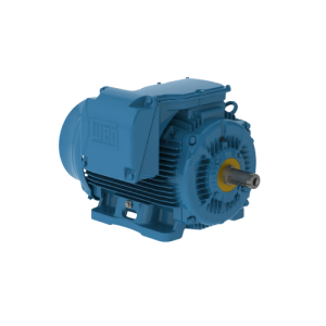 MOTORES WEG NEMA PREMIUM EFFIENCY IEEE841