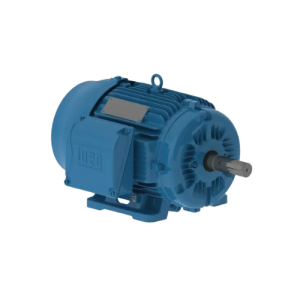 MOTOR BRASILEÑO DE ALTA EFICENCIA IE2 MARCA WEG
