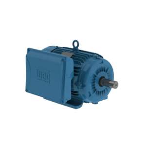 MOTOR ELECTRICO MONOFASICO MARCA WEG