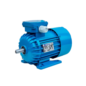 MOTORES TRIFASICOS IEC BT DELCROSA CANTONI