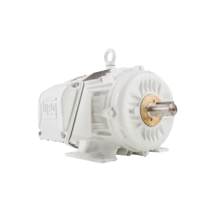 MOTOR RESISTENTE AL AGUA W22 WASH MARCA WEG