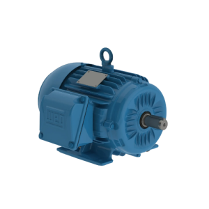 MOTOR DAHLANDER 4/2 Y 8/4 POLOS MARCA WEG (DOBLE VELOCIDAD)