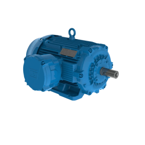 MOTOR WEG W22XDB A PRUEBA DE EXPLOSION IE2